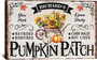 Personalized Pumpkin Patch Rustic Canvas For Thanksgiving Decor – Vintage Farmhouse Style With Family Name