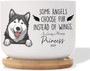 Touching Personalized Pet Memorial Plant Pot - Succulent Remembrance Gift With Bamboo Tray For Patio Or Garden