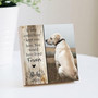 Personalized Pet Memorial Wooden Signs Custom Pet Name Rustic Design For Pet Loss Gifts