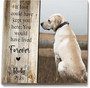 Personalized Pet Memorial Wooden Signs Custom Pet Name Rustic Design For Pet Loss Gifts