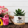 Thoughtful Personalized Pet Memorial Dachshund Ceramic Planter For Indoor Plants – Ideal For Animal Lovers