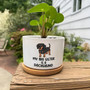 Thoughtful Personalized Pet Memorial Dachshund Ceramic Planter For Indoor Plants – Ideal For Animal Lovers