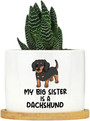 Thoughtful Personalized Pet Memorial Dachshund Ceramic Planter For Indoor Plants – Ideal For Animal Lovers