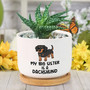 Thoughtful Personalized Pet Memorial Dachshund Ceramic Planter For Indoor Plants – Ideal For Animal Lovers