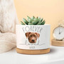 Custom Dog Photo Memorial Plant Pot For Loss Of Pet Gift