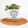 Heartfelt Personalized Pet Memorial Plant Pot For Dog Sympathy - Custom Condolences Gift With Bamboo Tray