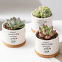 Custom Pet Memorial Plant Pot With Name & Date - Indoor Succulent Flower Pot With Bamboo Tray - Sympathy Gift For Dog & Cat Lovers