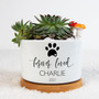 Heartfelt Personalized Pet Memorial Plant Pot With Bamboo Tray - Sympathy Gift For Dog Loss