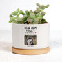 Heartfelt Custom Dog Photo Plant Pots - Unique Memorial Gifts For Home And Garden Decor