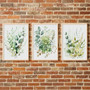 Boho Botanical Trio - Sage Green Wildflower Canvas Prints