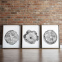 Tree Ring Canvas Prints Set - Stylish Black & White Wall DéCor For Living Room