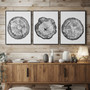 Tree Ring Canvas Prints Set - Stylish Black & White Wall DéCor For Living Room
