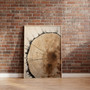 Rustic Tree Ring Canvas Art - Vintage Wood Design For Living Room Decor