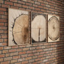 Rustic Tree Ring Canvas Art - Vintage Wood Design For Living Room Decor