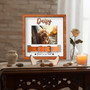 Until We Meet Again - Pet Collar Display Wood Sign Gift