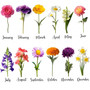 Grandma�s Birth Flower Garden - A Personalized Wall Clock Gift