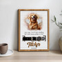 Cherished Pet Portrait Layer Wood Sign Collar Holder