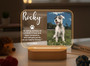 Forever Glow Personalized Pet Memorial Night Light Tribute Forever Glow Personalized Pet Memorial Night Light Tribute