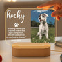 Forever Glow Personalized Pet Memorial Night Light Tribute Forever Glow Personalized Pet Memorial Night Light Tribute