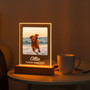 Keep Their Memory Glowing Custom Pet Photo Night Light Keep Their Memory Glowing Custom Pet Photo Night Light