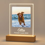Keep Their Memory Glowing Custom Pet Photo Night Light Keep Their Memory Glowing Custom Pet Photo Night Light