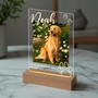 Personalized Pet Memorial Night Light Custom Photo Loss Gift Personalized Pet Memorial Night Light Custom Photo Loss Gift