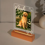 Personalized Pet Memorial Night Light Custom Photo Loss Gift Personalized Pet Memorial Night Light Custom Photo Loss Gift