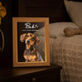 Radiant Watercolor Pet Portrait Memorial Photo Frame Lamp Radiant Watercolor Pet Portrait Memorial Photo Frame Lamp