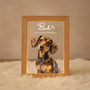 Radiant Watercolor Pet Portrait Memorial Photo Frame Lamp Radiant Watercolor Pet Portrait Memorial Photo Frame Lamp