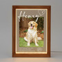 Honoring Furry Friends Custom Pet Photo Frame Lamp Memorial