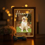 Honoring Furry Friends Custom Pet Photo Frame Lamp Memorial