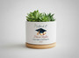 Mastering the Future 2026 Custom Masters Ceramic Plant Pot