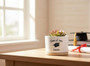 A 2026 Graduation Ceramic Plant Pot Tailored Just for Her