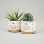 Personalized Graduation Ceramic Plant Pot, Class of 2026 Gift