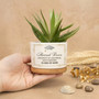 Personalized Graduation Ceramic Plant Pot, Class of 2026 Gift