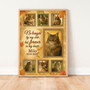 Autumn Theme Cat Remembrance Custom Canvas - Pet Loss Gift Autumn Theme Cat Remembrance Custom Canvas - Pet Loss Gift
