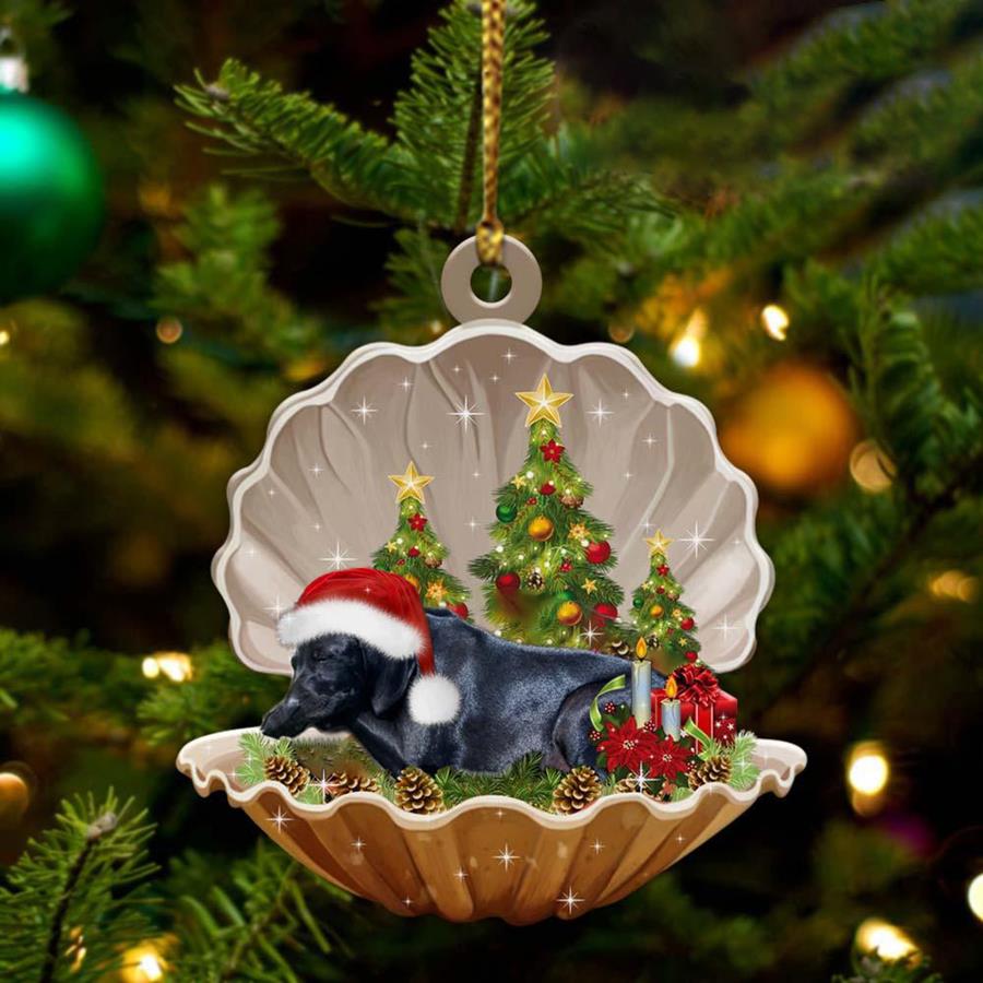 Custom Name Book Christmas Tree Ornament - Personalized Christmas Gift
